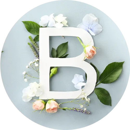 テーブルBアイコン