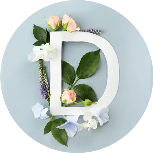 テーブルDアイコン