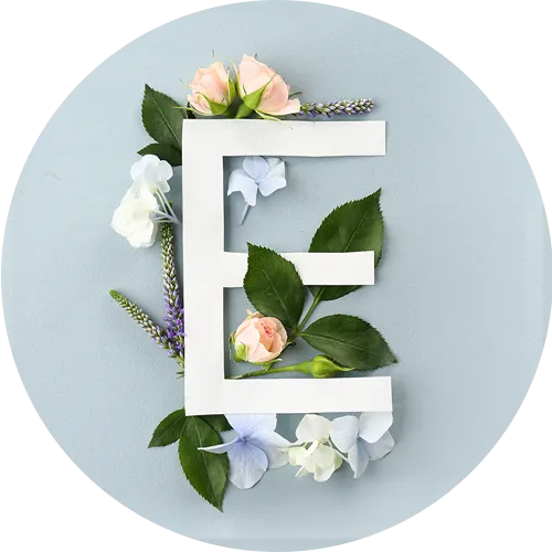 テーブルFアイコン