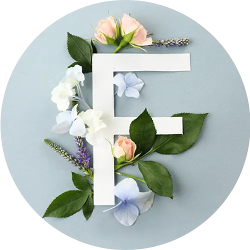 テーブルFアイコン