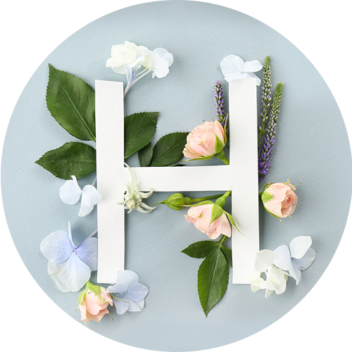 テーブルHアイコン